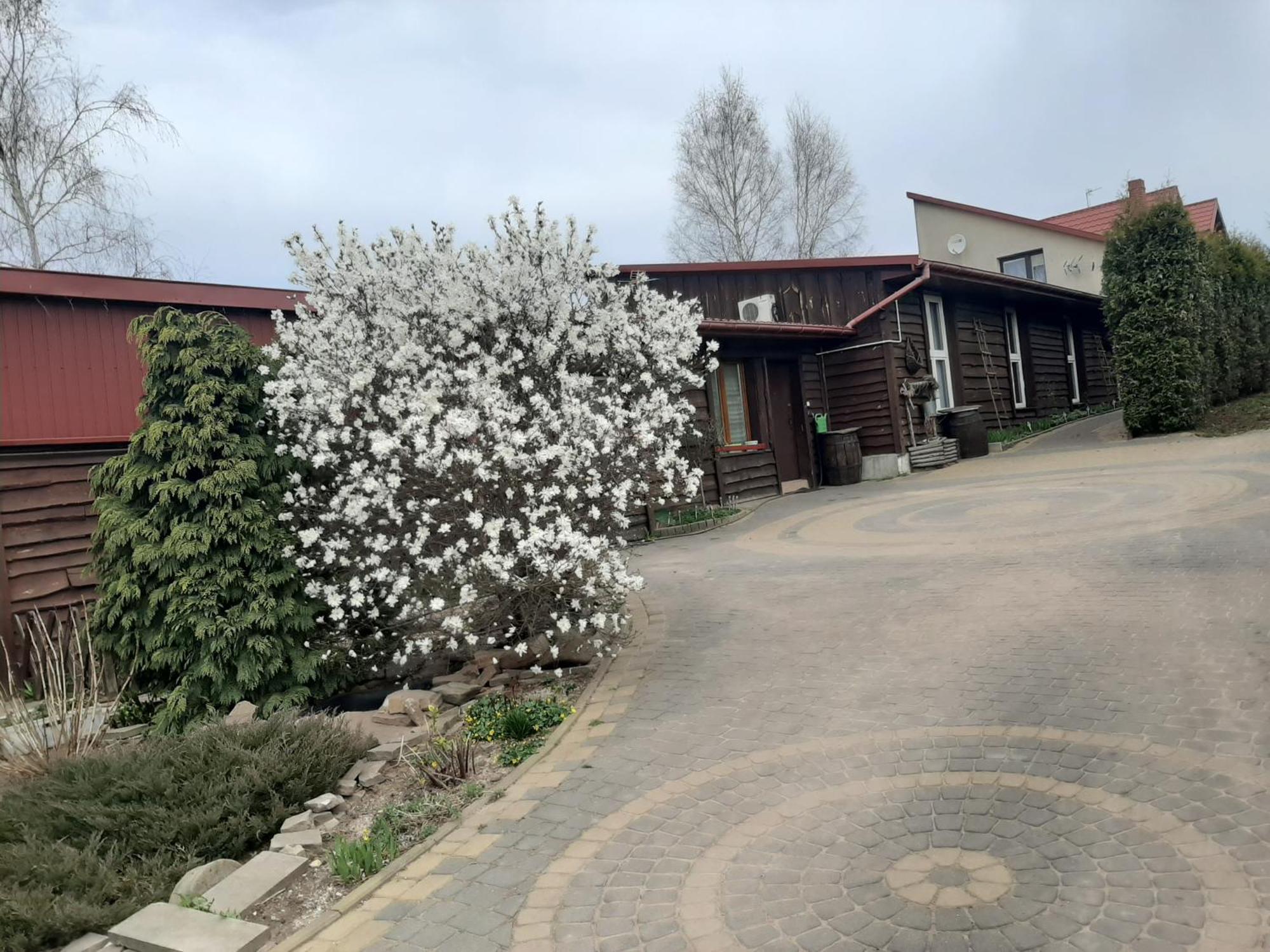 Zielone Zacisze Apartamento Zagnansk Exterior foto