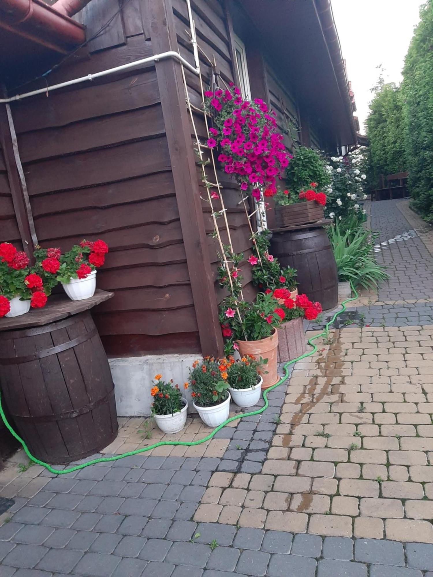 Zielone Zacisze Apartamento Zagnansk Exterior foto